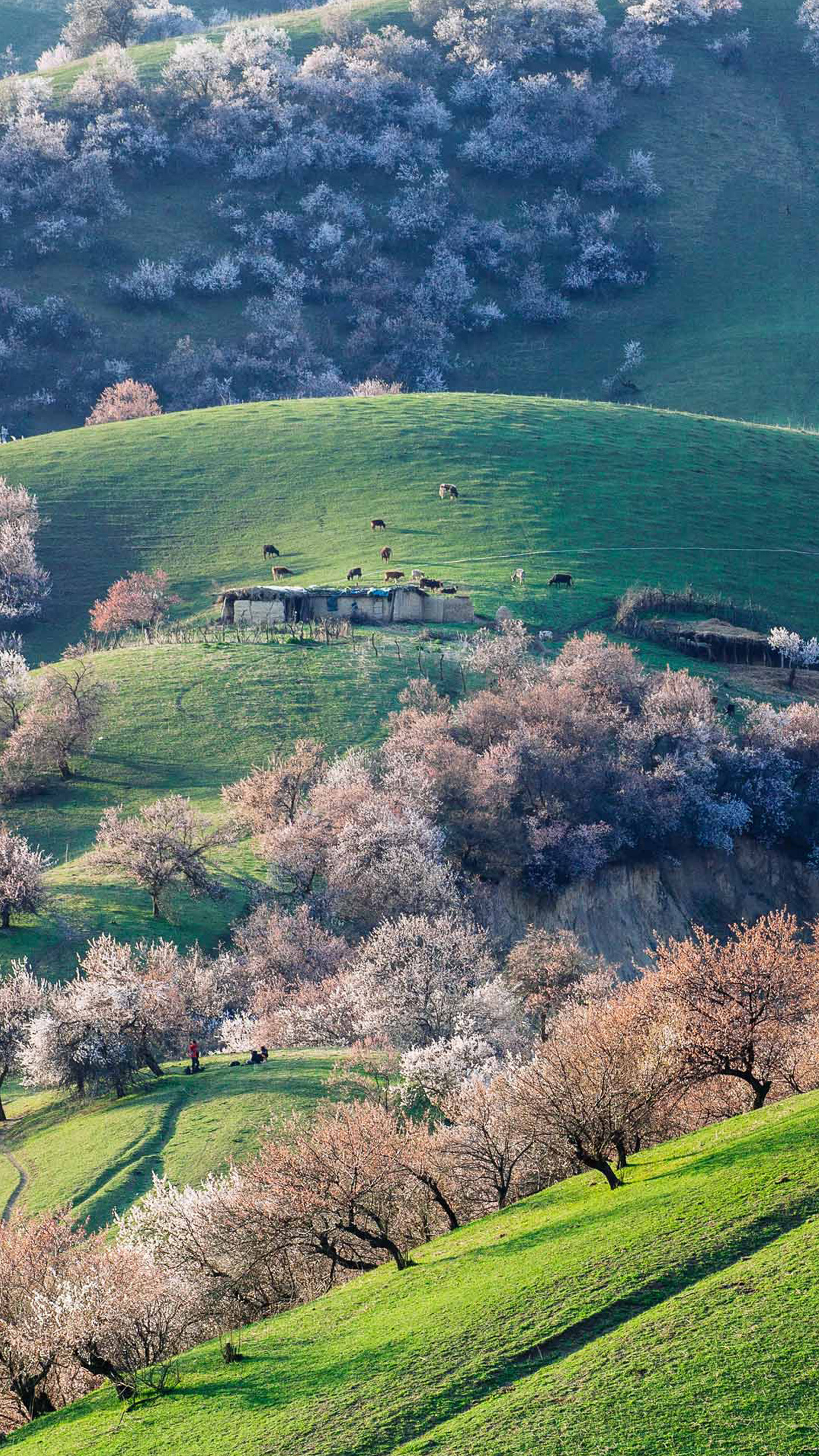 Ranch Wallpaper - S7 Edge Wallpaper Nature - HD Wallpaper 