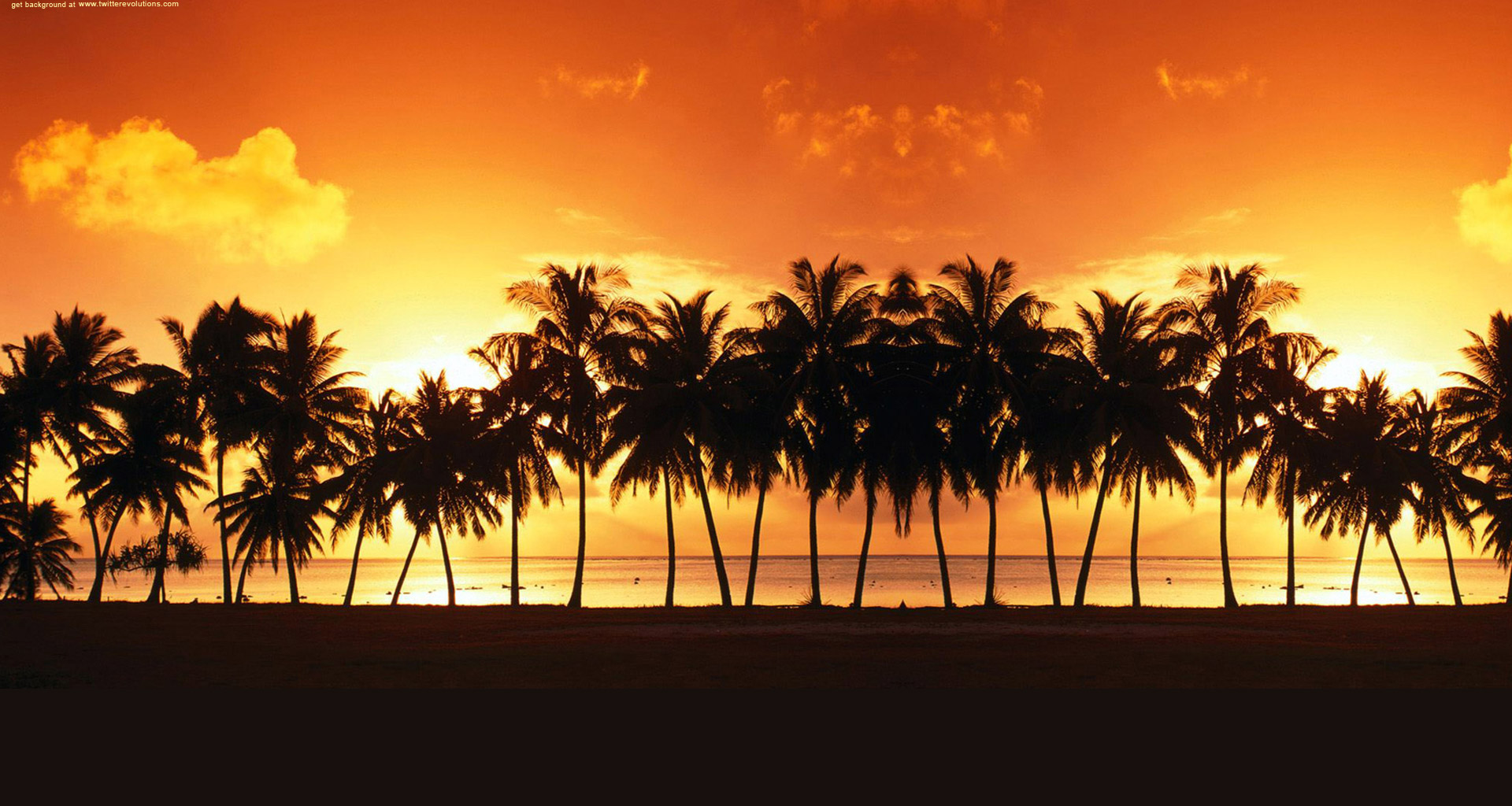 California Palm Trees Wallpaper
awesome Palm Tree Hd - Palm Trees Twitter Background - HD Wallpaper 