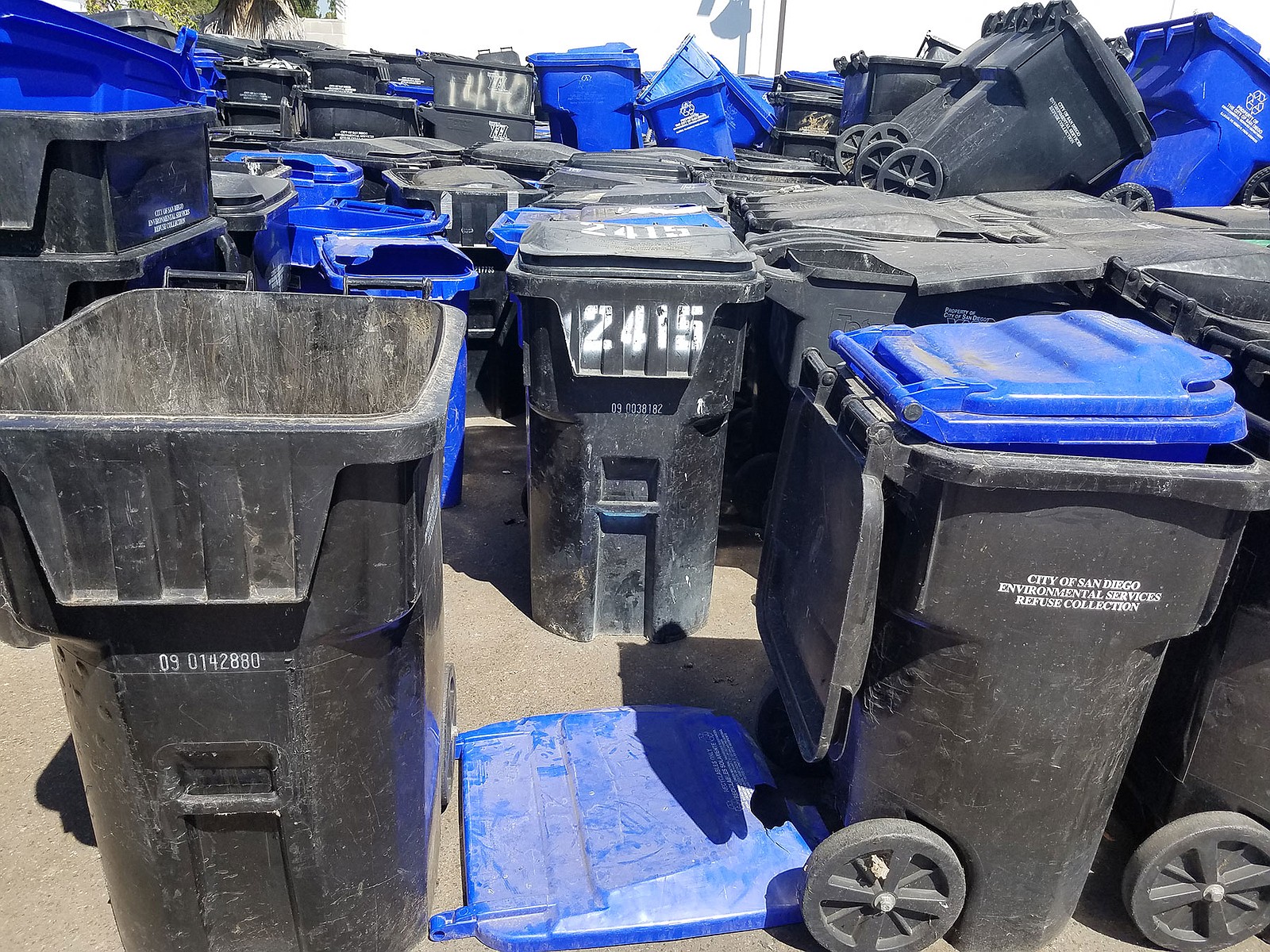 San Diego Trash Cans 1600x1200 Wallpaper teahub.io