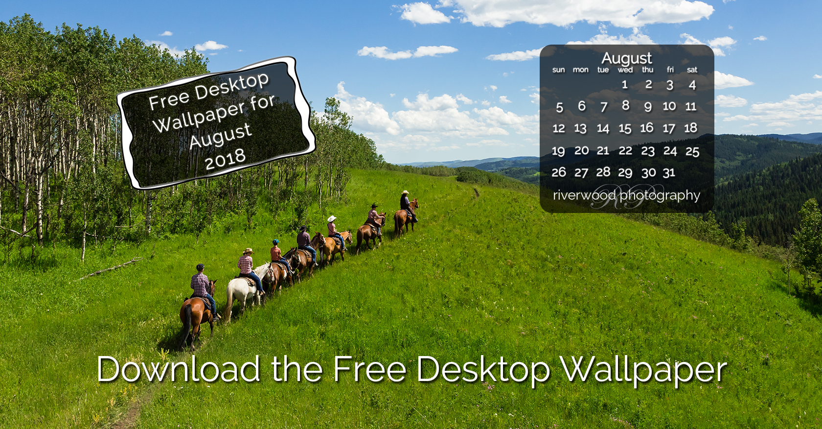 Stallion - HD Wallpaper 