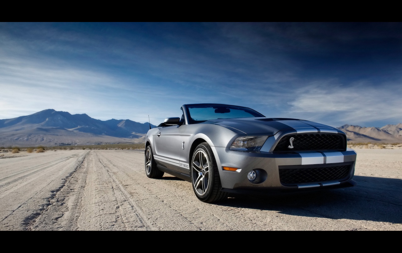 Ford Shelby Gt500 Front 3 Wallpapers - Ford Mustang Shelby Gt 500 - HD Wallpaper 