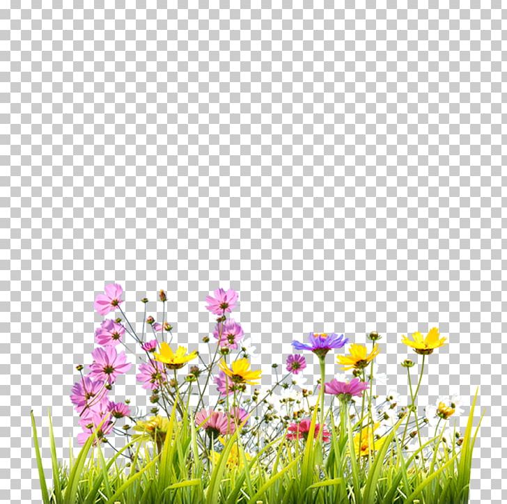 Gerbera Jamesonii Flower Computer File Png, Clipart, - Food Raw Material Png - HD Wallpaper 