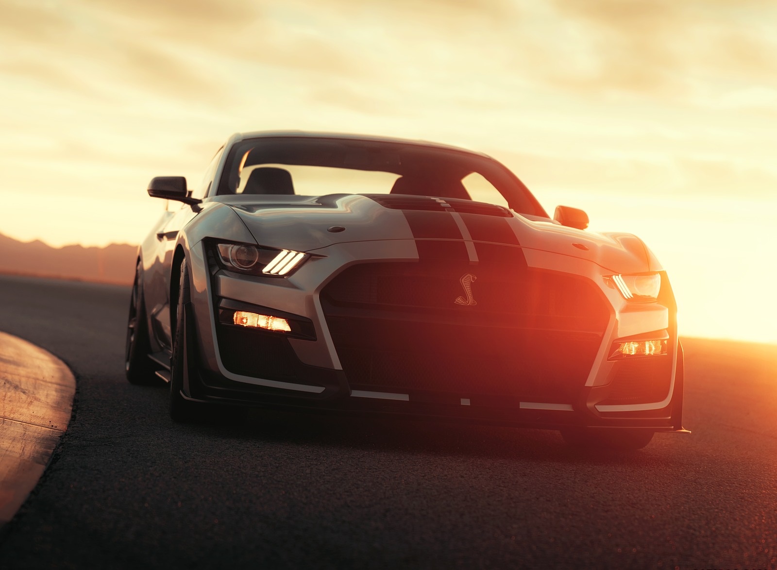 2020 Ford Mustang Shelby Gt500 Front Wallpapers - 2020 Ford Mustang Shelby Gt500 Venom - HD Wallpaper 