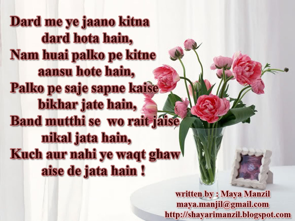 Garden Roses - HD Wallpaper 