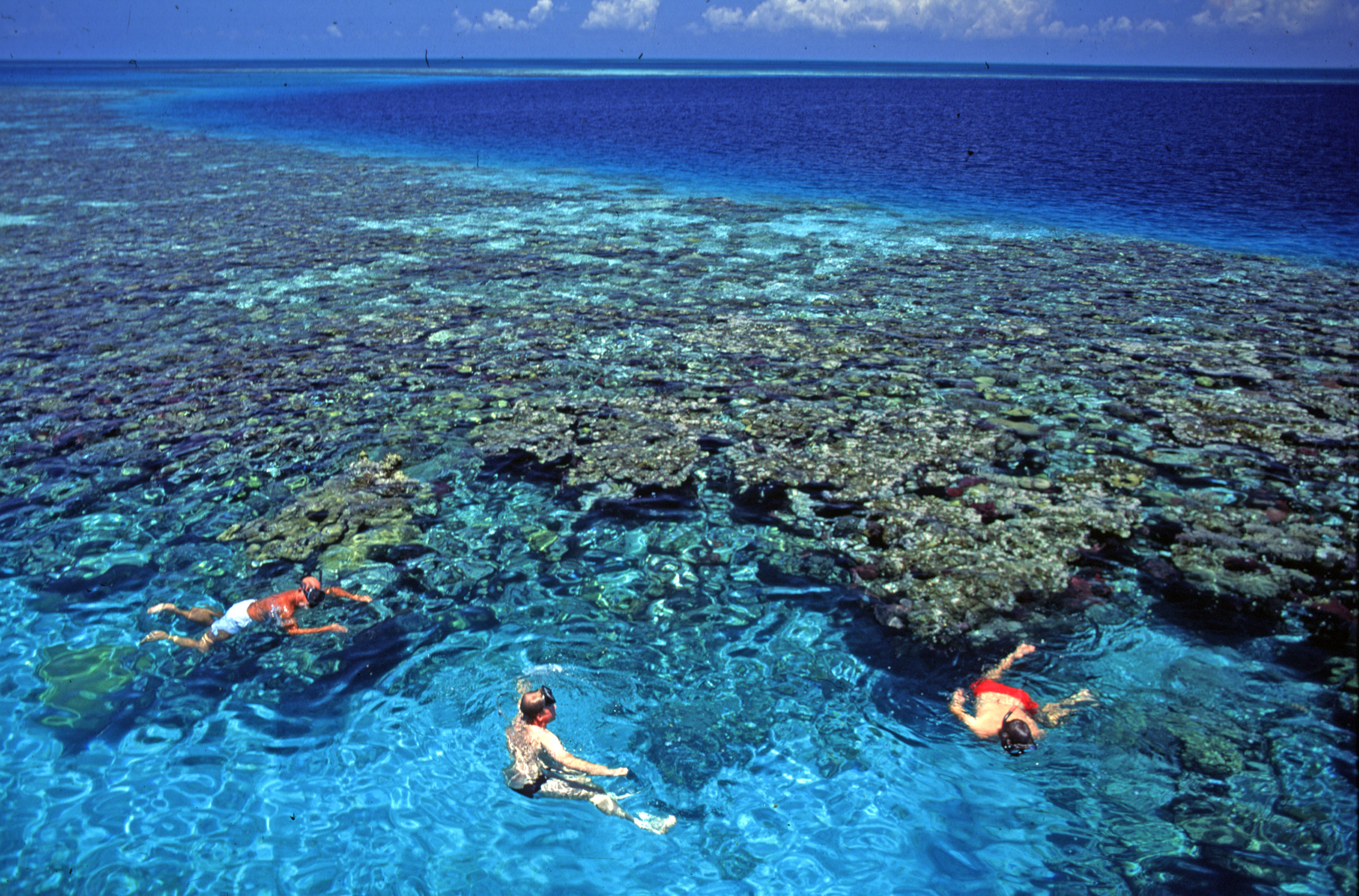 Belize Barrier Reef Top Wallpaper Hd - Mesoamerican Barrier Reef Mexico - HD Wallpaper 