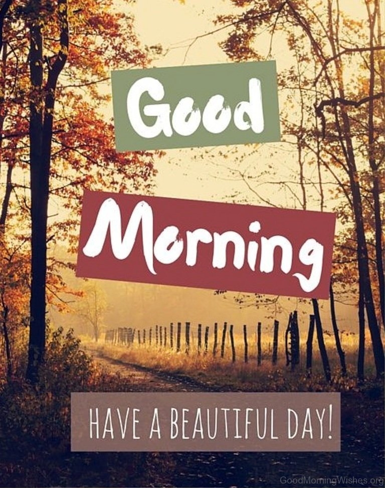 Good Morning Have A Beautiful Day - Morning Good Day Quote - HD Wallpaper 