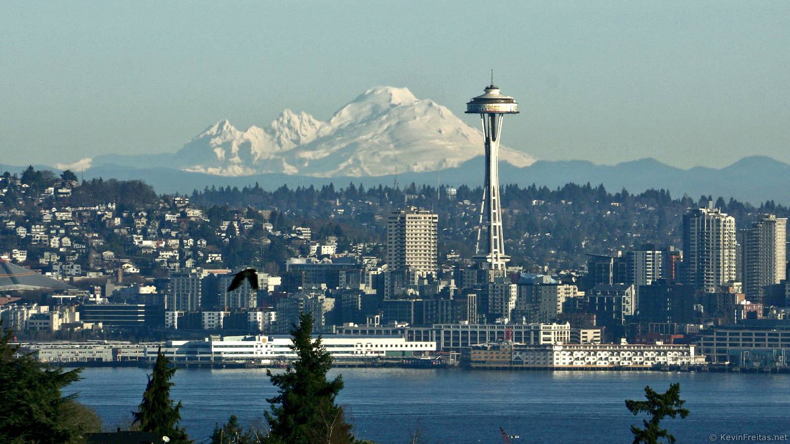 Seattle Hd Wallpaper Snow - HD Wallpaper 