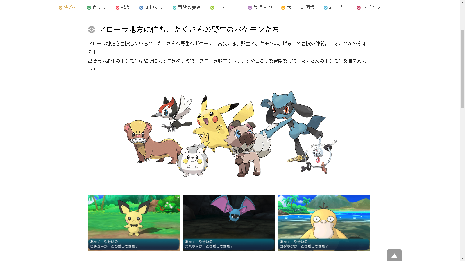 S集める 育てる 戦う 交換する 冒険の玀台 Sストーリー 登場人物 Sポケモン図鑑 ムービー &トピックス - Pokemon Riolu - HD Wallpaper 
