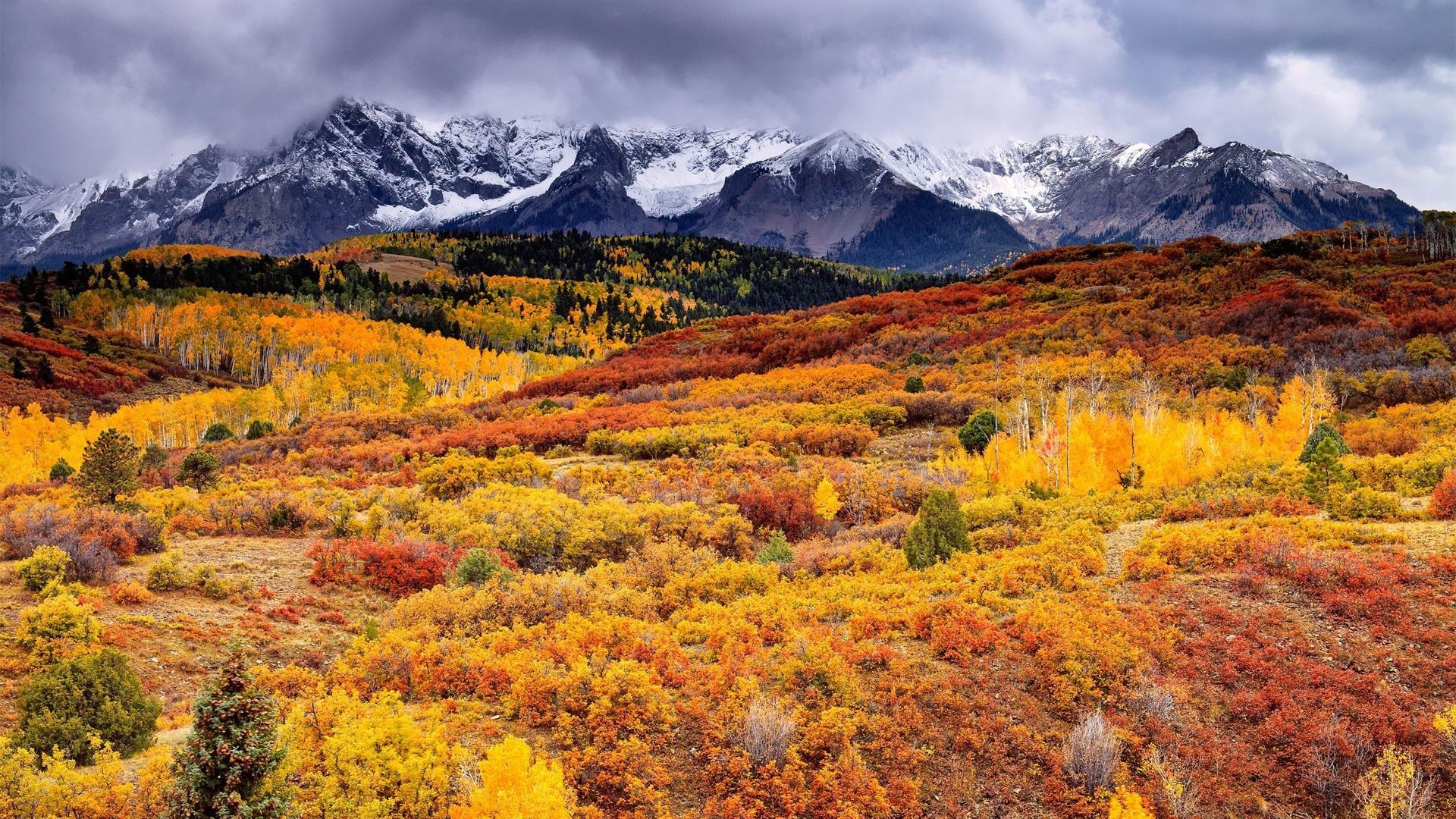 1 Theme Hd Wallpapers - Snowy Mountains In Autumn - HD Wallpaper 