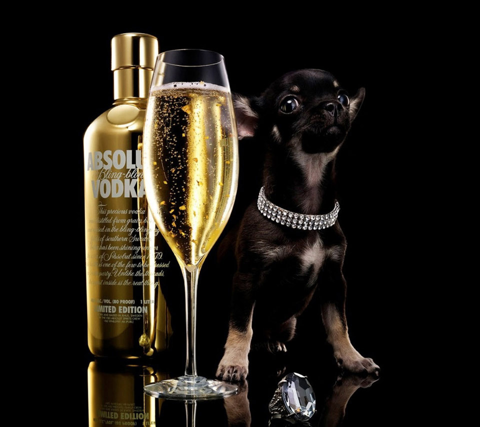 Black Dog Wine Ads 960x854 Wallpaper Teahub io black-dog-wines-sparkling-brachetto-masciarelli-wine-company
