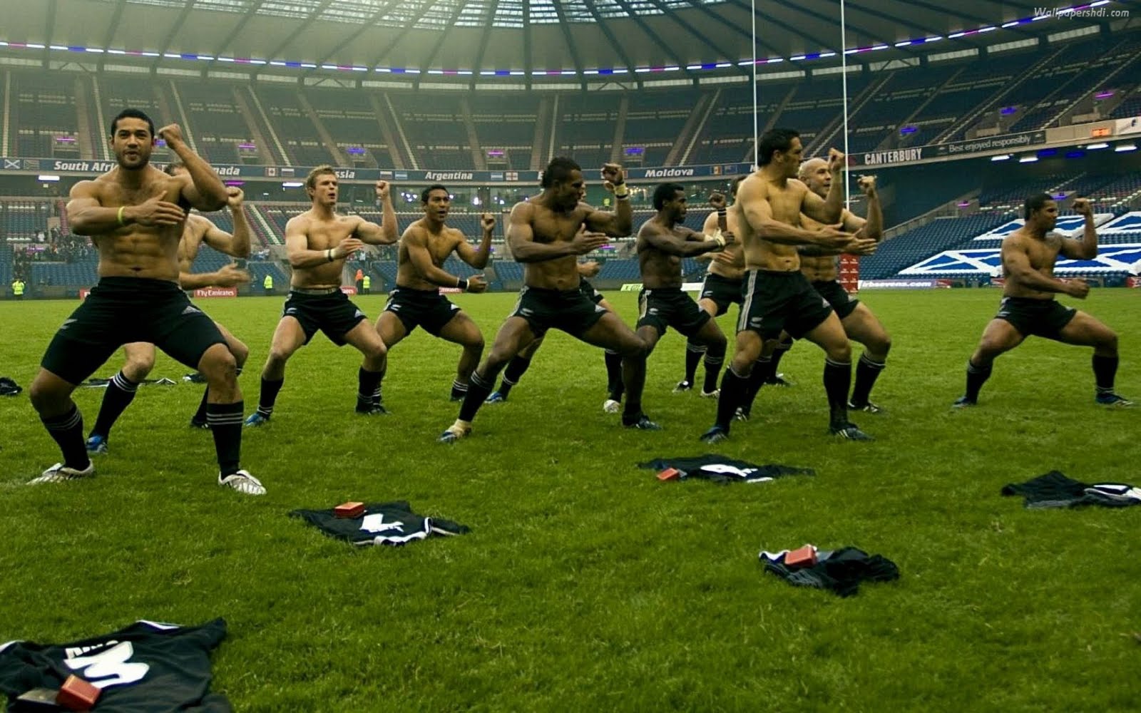 Springbok Rugby Wallpapers Sa Rugby Wallpaper - Sport Rugby All Blacks - HD Wallpaper 