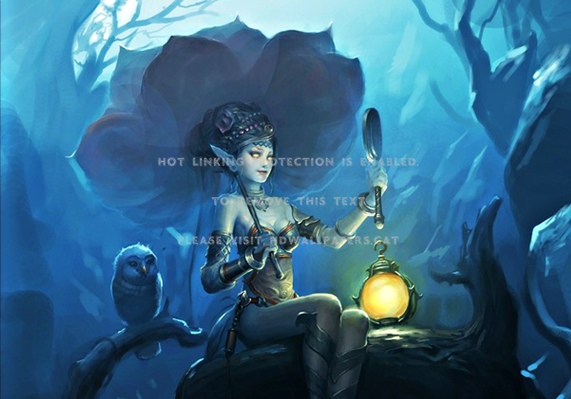 Nymph Blue Lantern Bird Flower Forest Woman - Fairy Scientist Fantasy Art - HD Wallpaper 