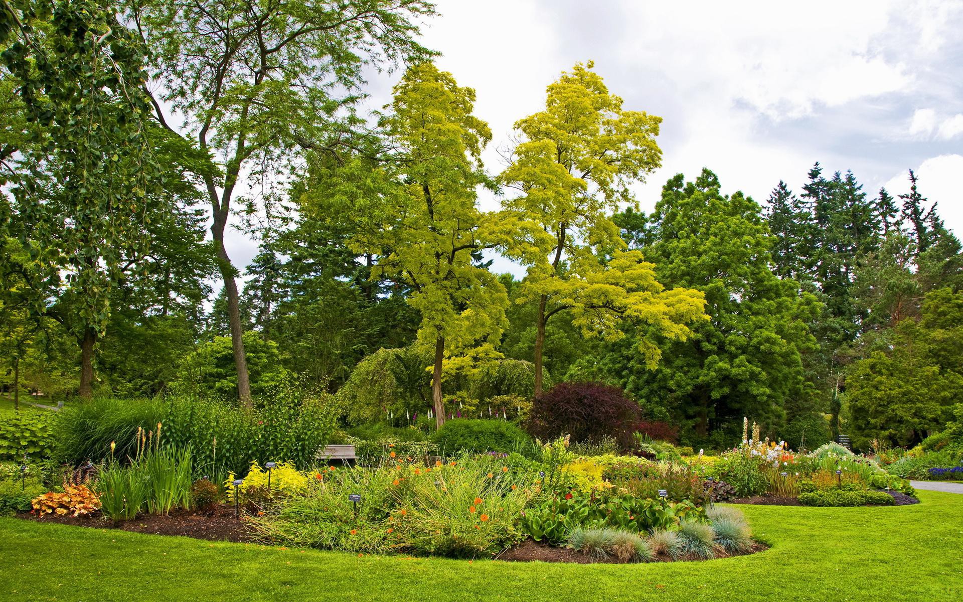 Nature Grass Park Green Garden Trees Flowers Hd 1080p - HD Wallpaper 