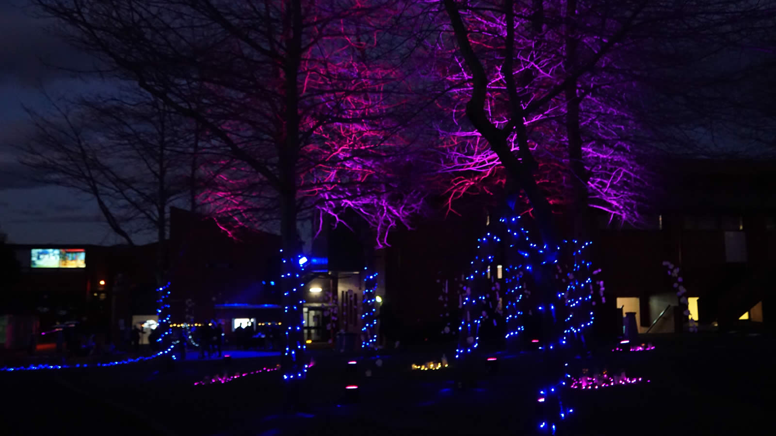 Magenta & Blacker Art Showcase - Street Light - HD Wallpaper 