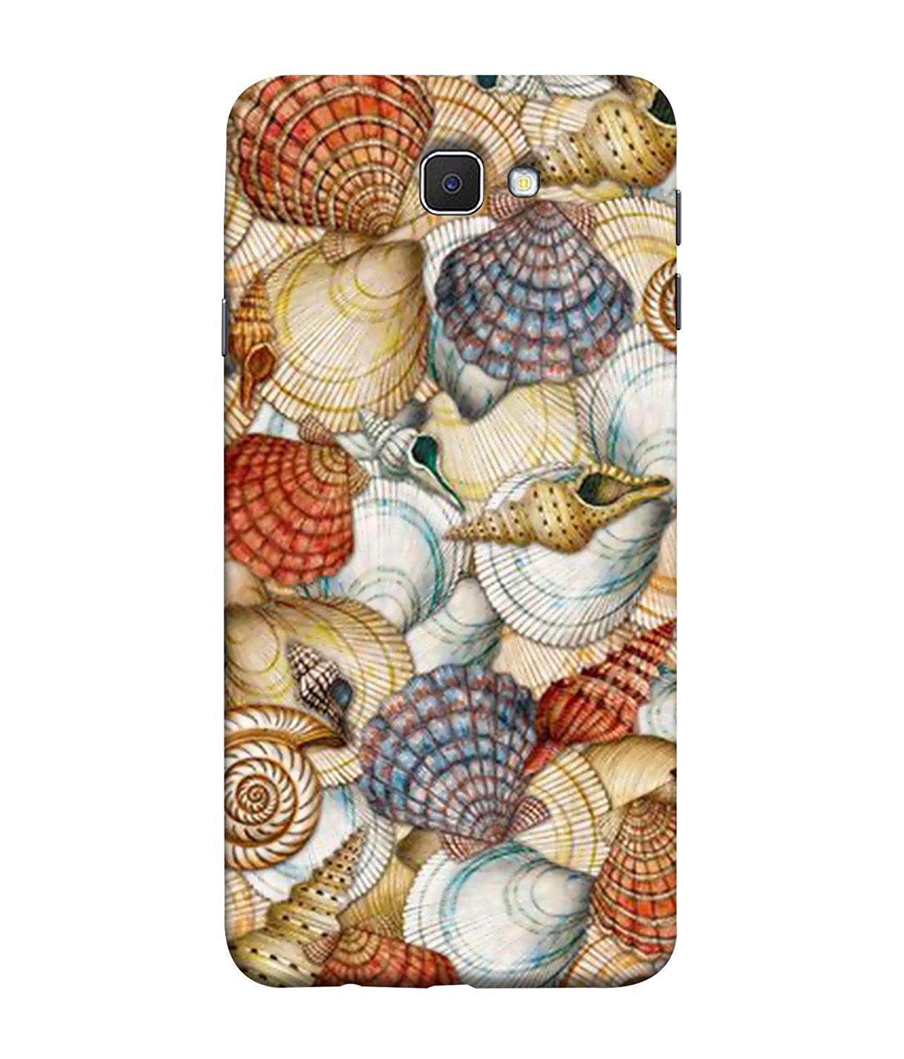 Shell - HD Wallpaper 