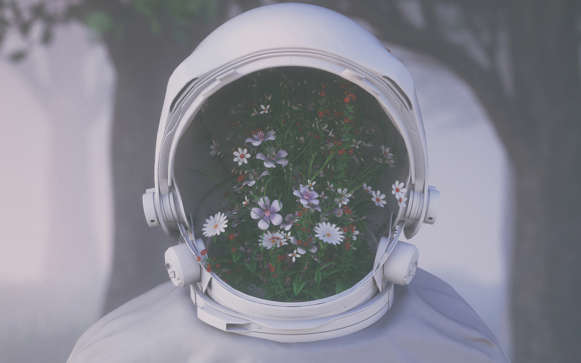 لقد فزت بأفضل صديق - HD Wallpaper 