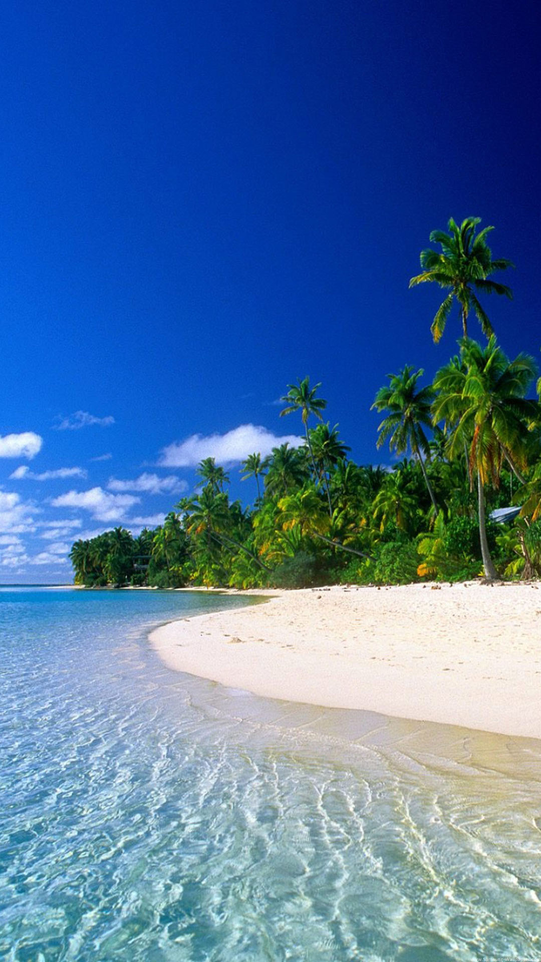 Tropical Beach - HD Wallpaper 
