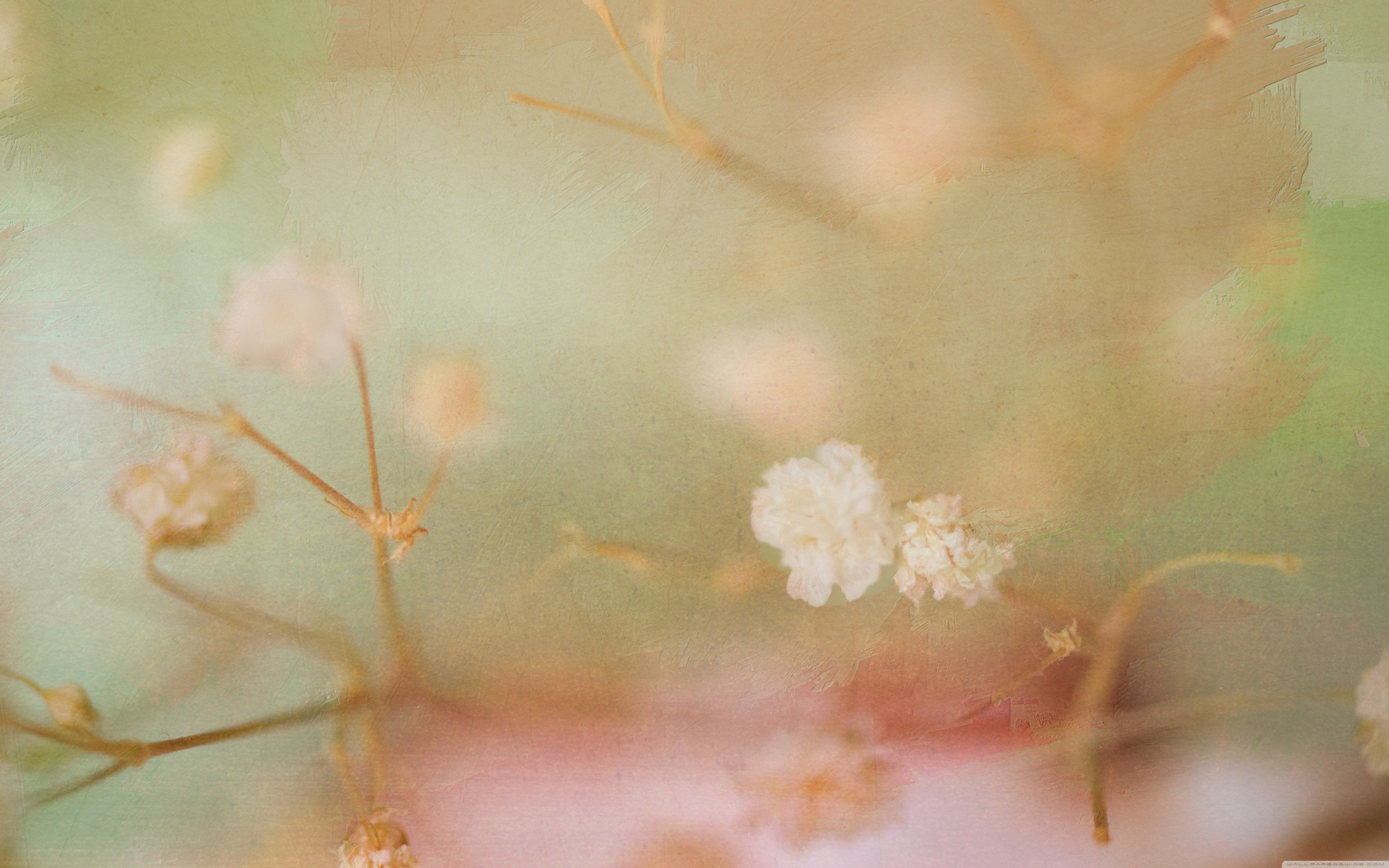 Floral Background 16 9 - HD Wallpaper 