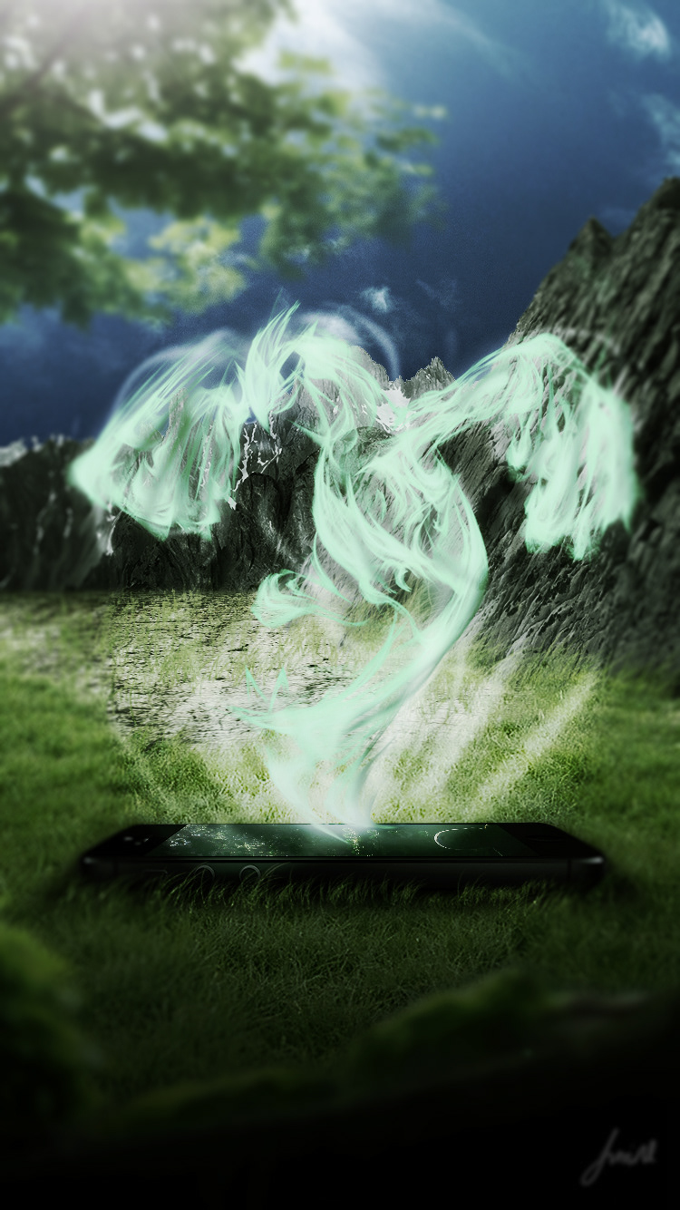 Grass - HD Wallpaper 