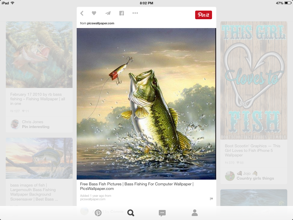 Easy Bass Fish Painting 1024x768 Wallpaper teahub.io