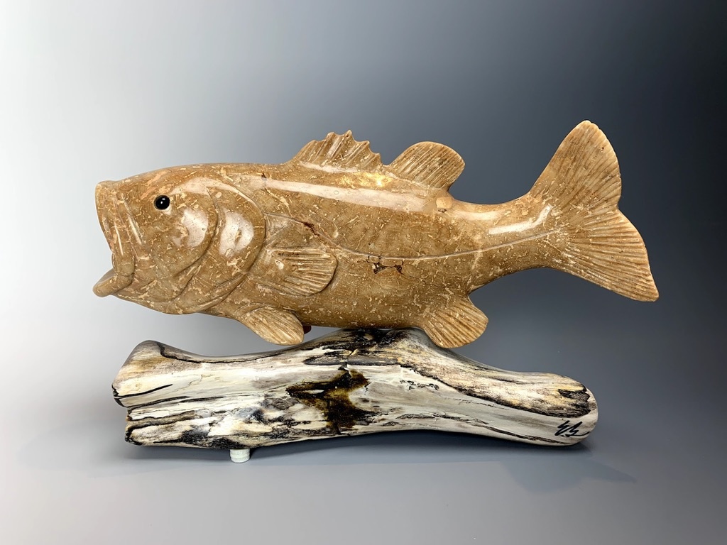 Pomacentridae - HD Wallpaper 