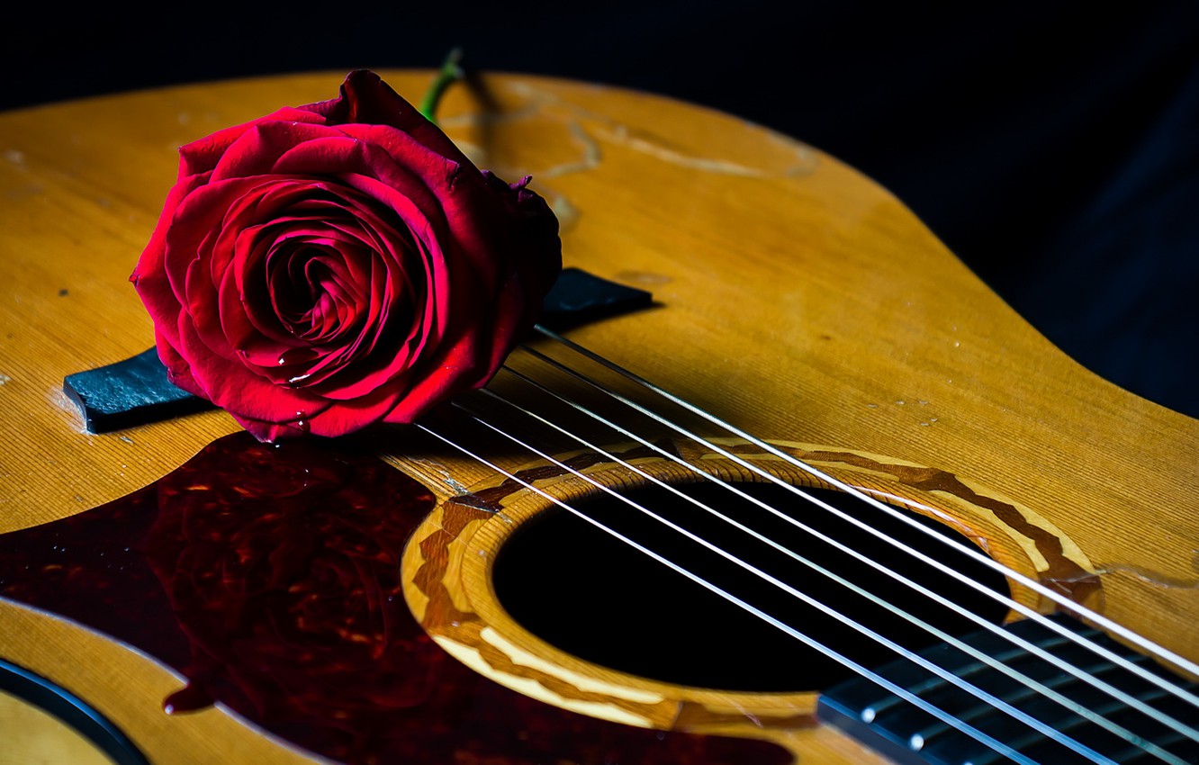 Photo Wallpaper Background, Rose, Guitar - സ്നേഹപൂര്വ്വം ശുഭരാത്രി - HD Wallpaper 