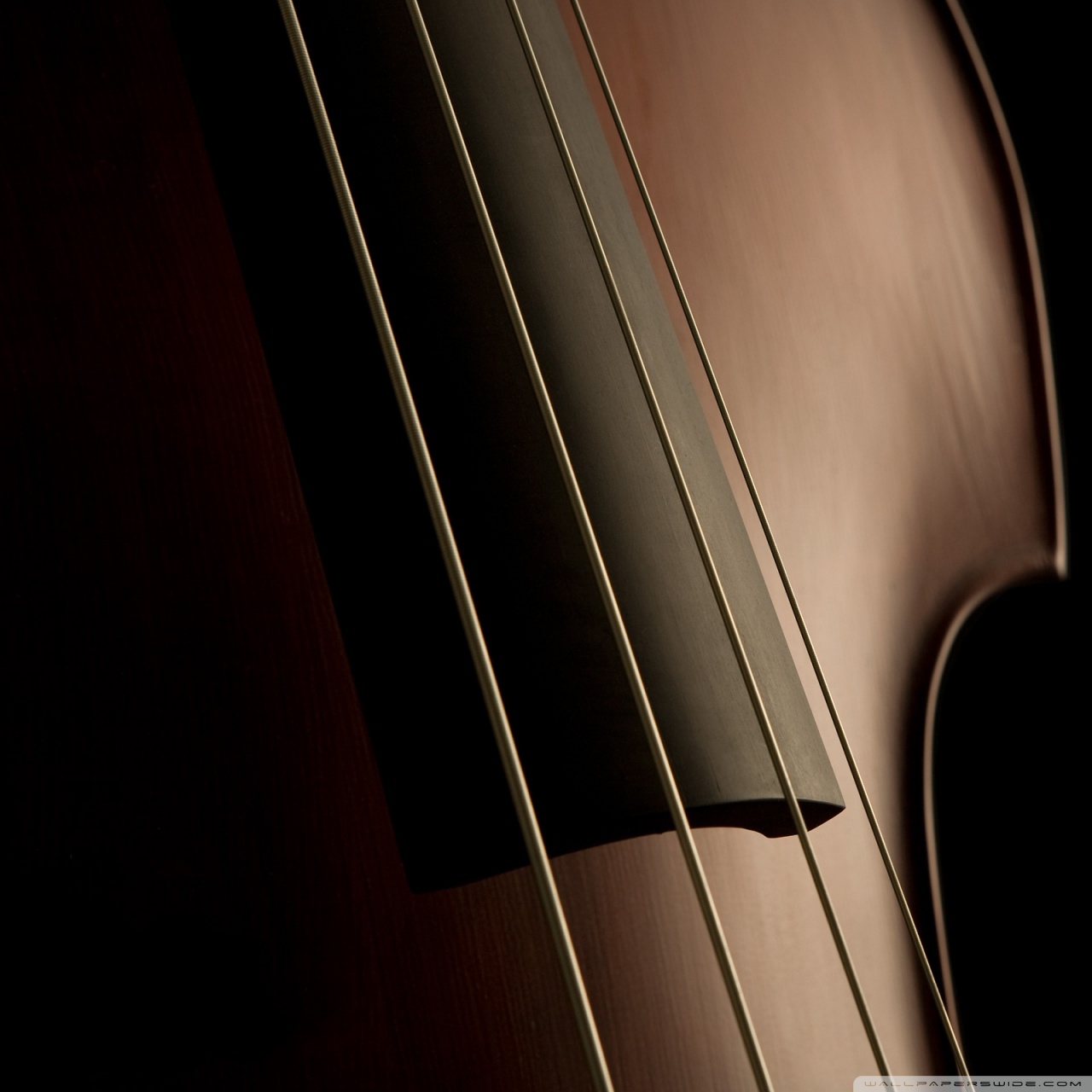 Double Bass Wallpaper Iphone - HD Wallpaper 