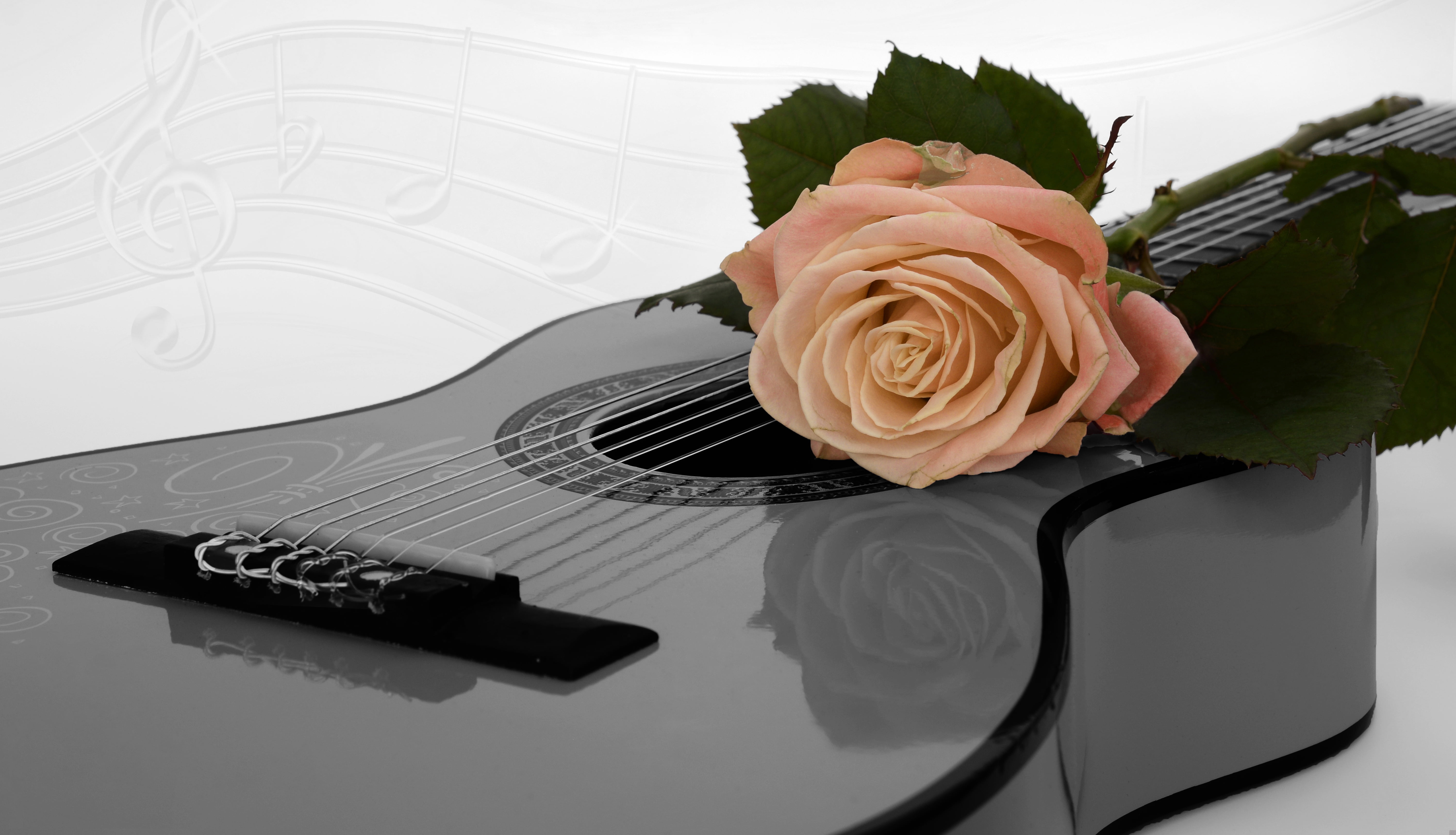 Guitar With Rose Hd - HD Wallpaper 