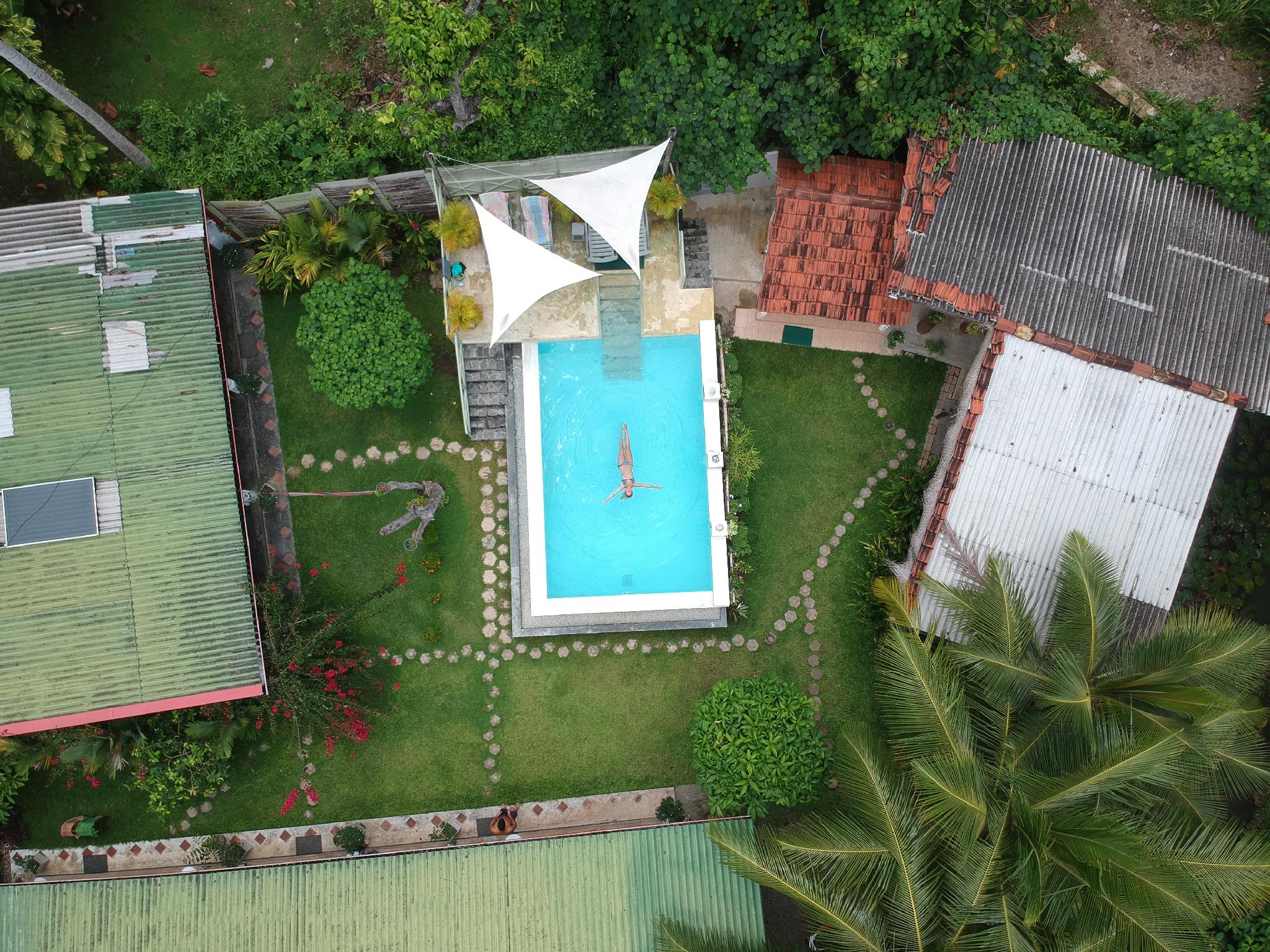 Backyard - HD Wallpaper 