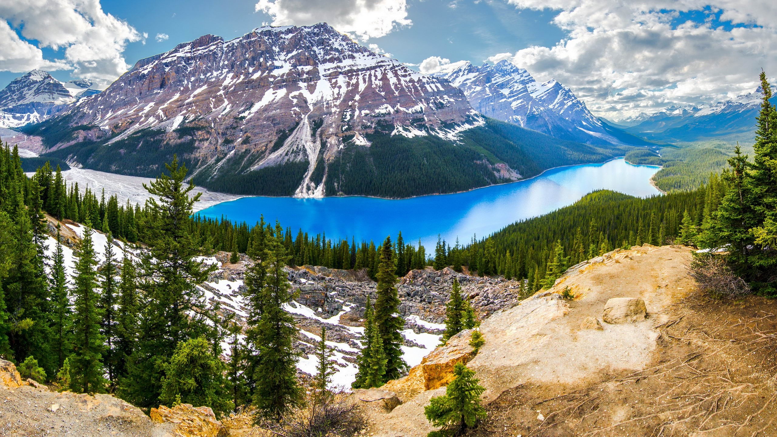 2560x1440, Peyto Lake Banff Canada Firs 
 Data Id 297831 - Peyto Lake - HD Wallpaper 
