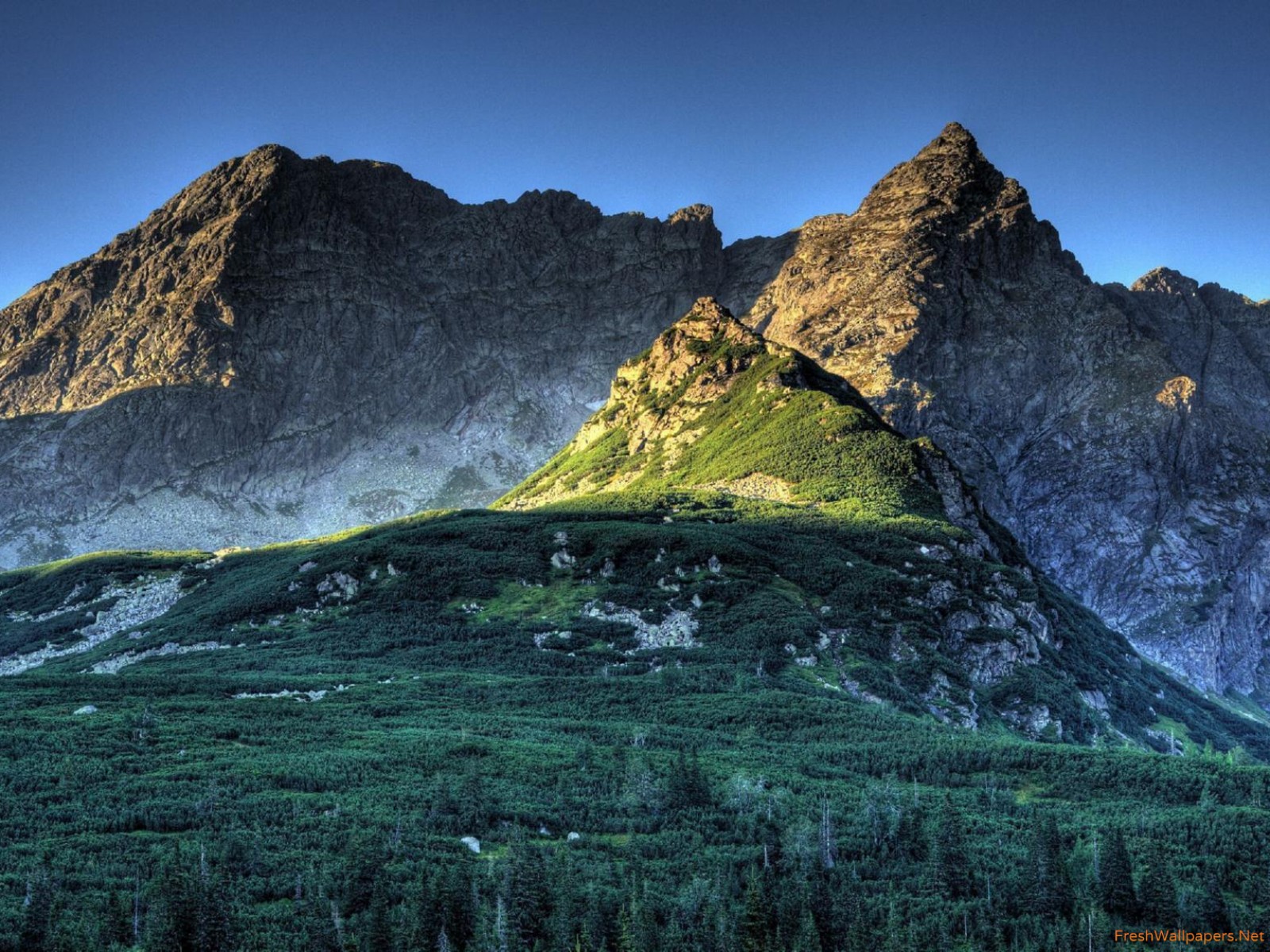 Широкоформатные Обои На Рабочий Стол Карпаты - HD Wallpaper 