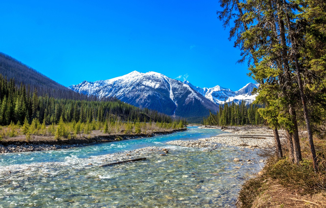 Photo Wallpaper Forest, Trees, Mountains, River, Canada, - Canadian Rockies River - HD Wallpaper 
