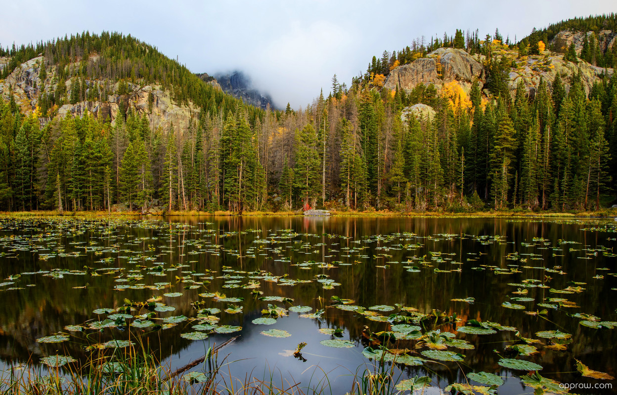 Rocky Mountain National Park, Estes Park, Nymph Lake - HD Wallpaper 