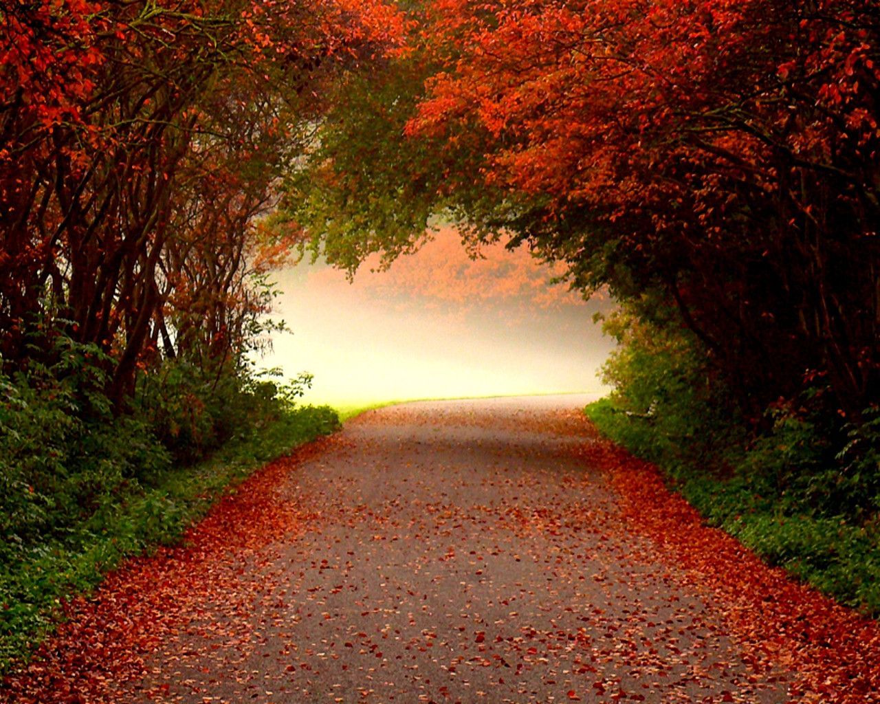 Free Fall Computer Backgrounds - Fall Road Background - HD Wallpaper 