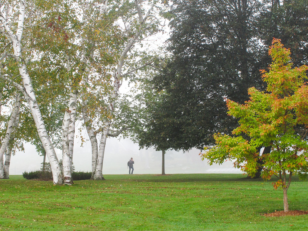 Fall Scenes Wallpaper - HD Wallpaper 
