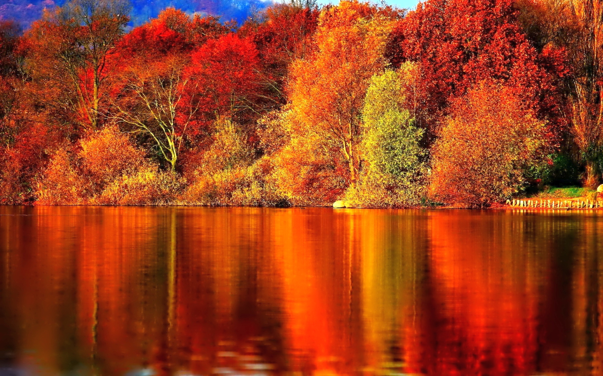 Autumn Forest Wallpaper Hd Background For Desktop - Beautiful Fall Background - HD Wallpaper 