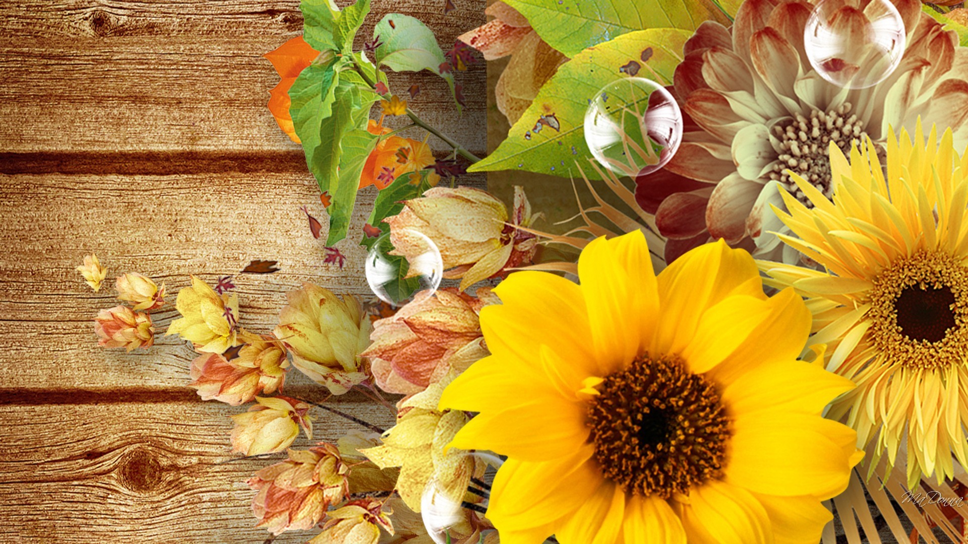 Flowers Fall Flowers Autumn Boards Wood Pods Bubbles - Pretty Fall Desktop Backgrounds - HD Wallpaper 