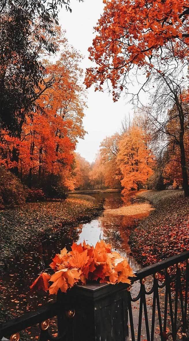 22 Beautiful Autumn Images, Autumn Images Free, Autumn - Fall - HD Wallpaper 