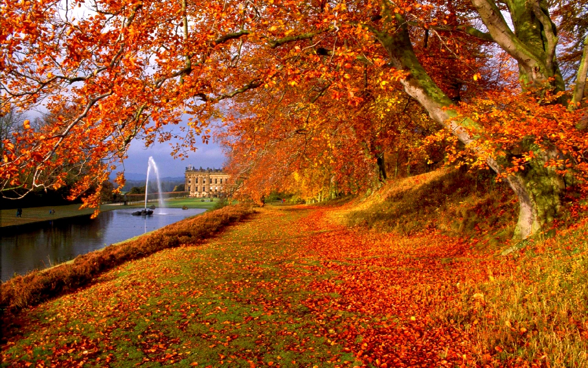 Free Autumn Backgrounds - HD Wallpaper 