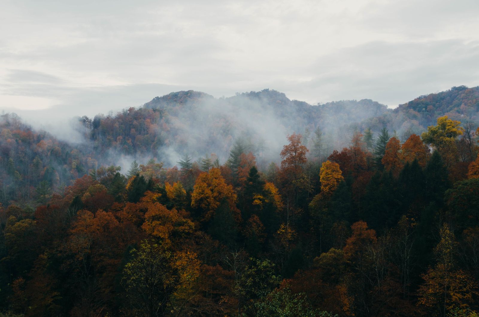 Nature Trees Mountains Forest Fog Hills Autumn Fall - Autumn Cloudy Forest - HD Wallpaper 