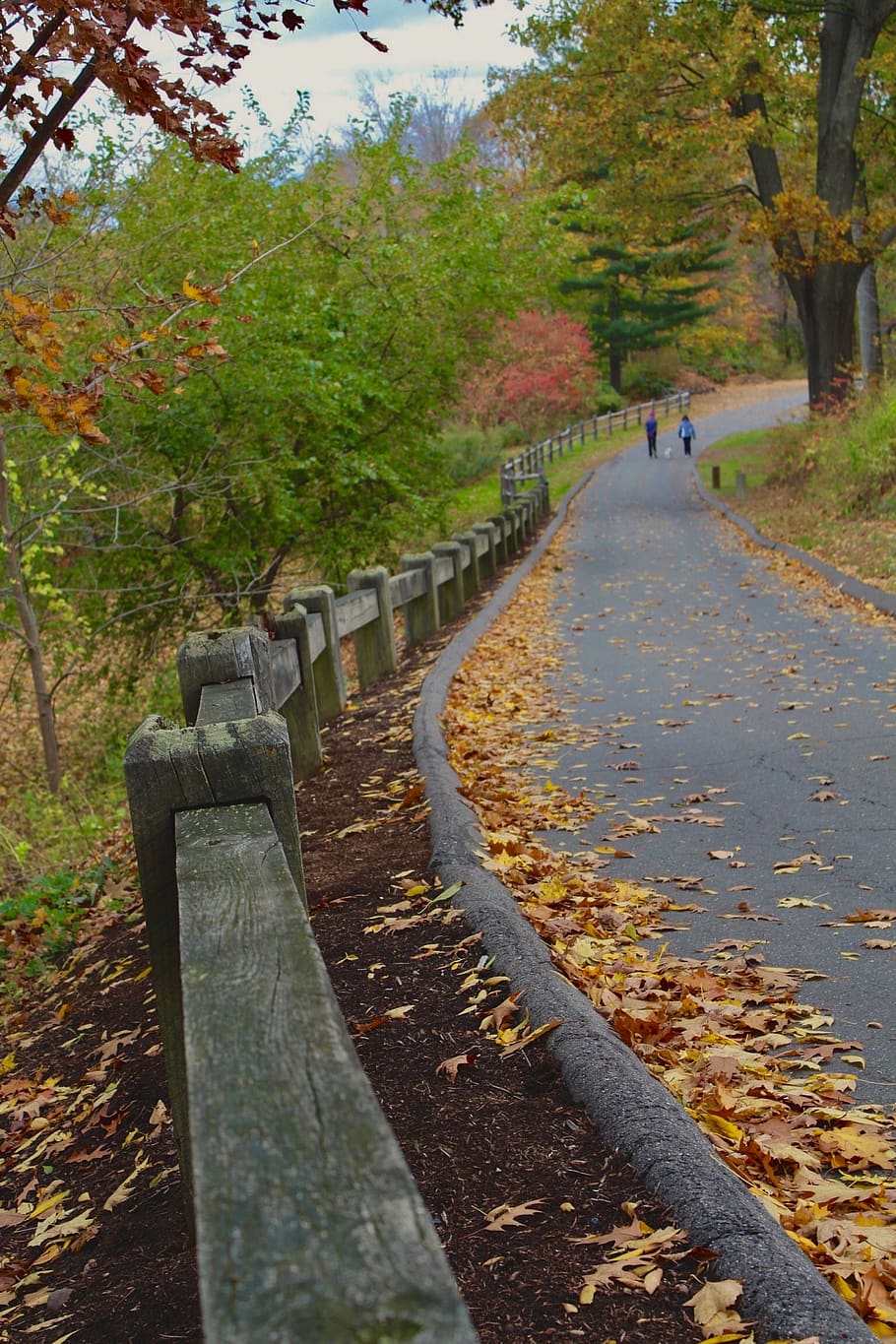 Fence, Trees, Leaves, Fall, Autumn, Path, Orange, Leading - Autumn - HD Wallpaper 