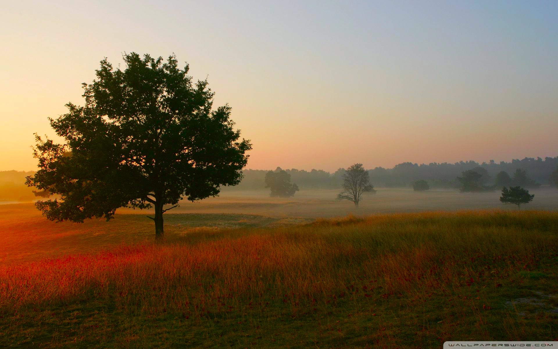 Mobile Phone - HD Wallpaper 