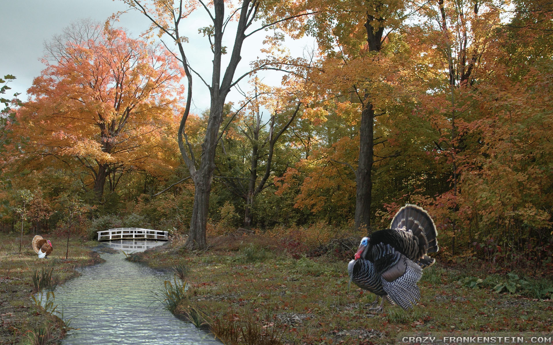 Thanksgiving Scenery - HD Wallpaper 