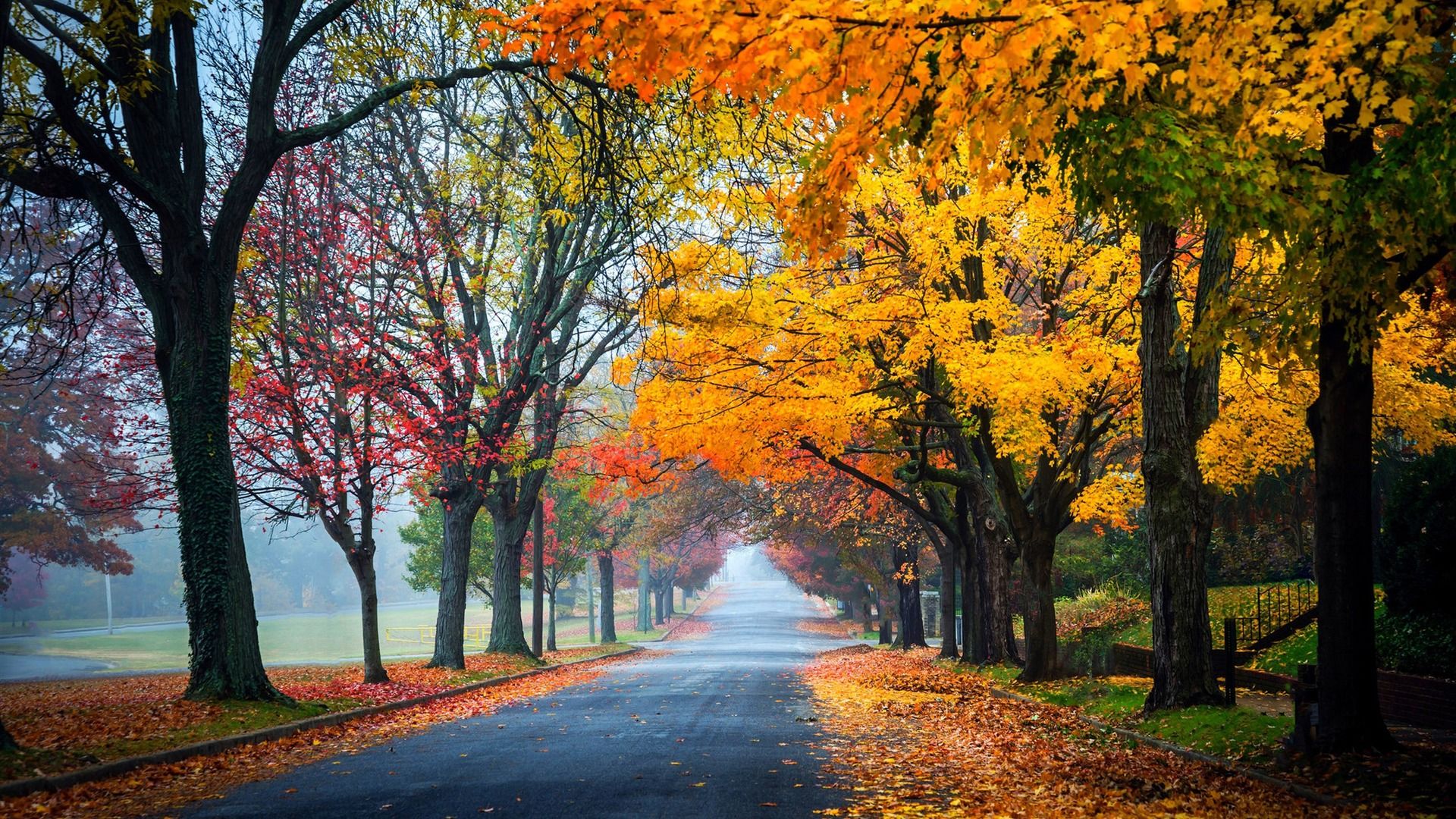 Road And Trees Background - HD Wallpaper 