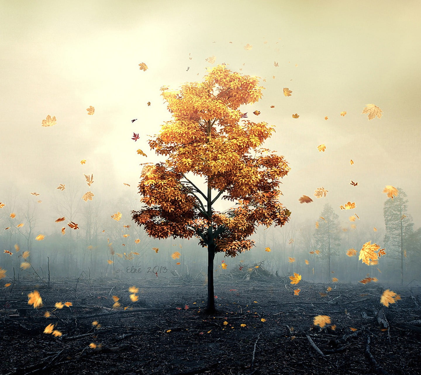 Fall Nature Wallpaper - HD Wallpaper 