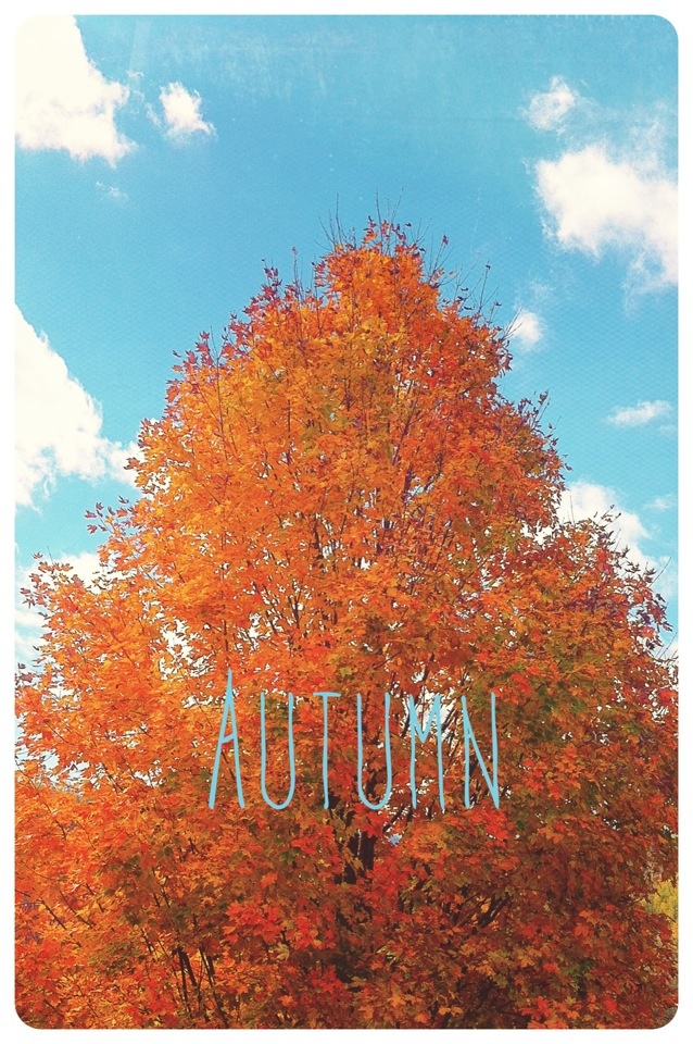 Iphone Fall Wallpaper - Autumn Tumblr Wallpapers Iphone - HD Wallpaper 