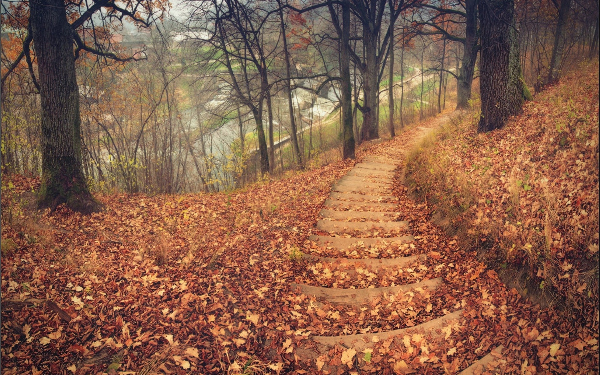 Nature Landscapes Trees Forest Path Stairs Tracks Roads - Fall Forest Path - HD Wallpaper 