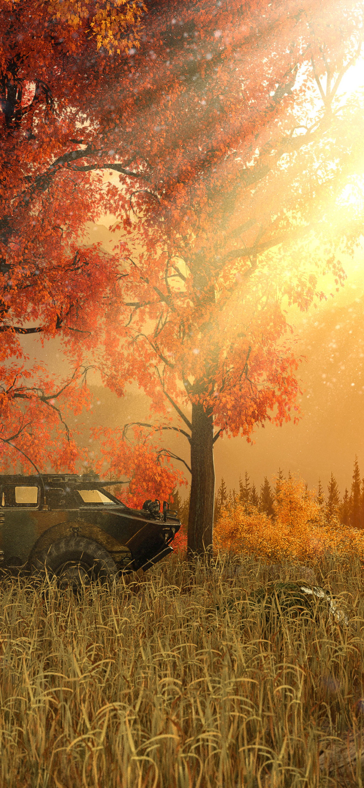 Autumn - HD Wallpaper 