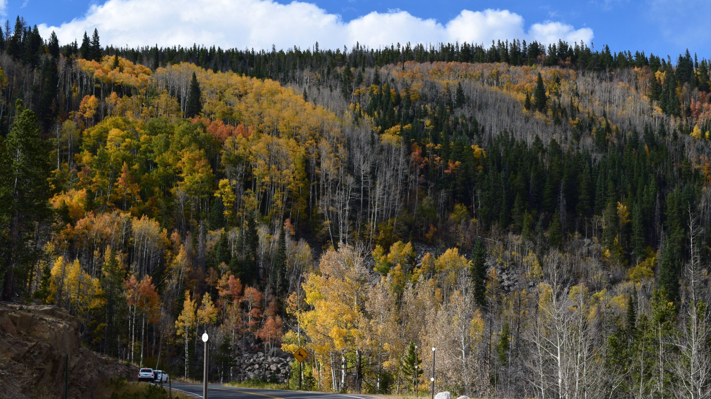 Fall Colors In Rmnp Colorado - Autumn - HD Wallpaper 