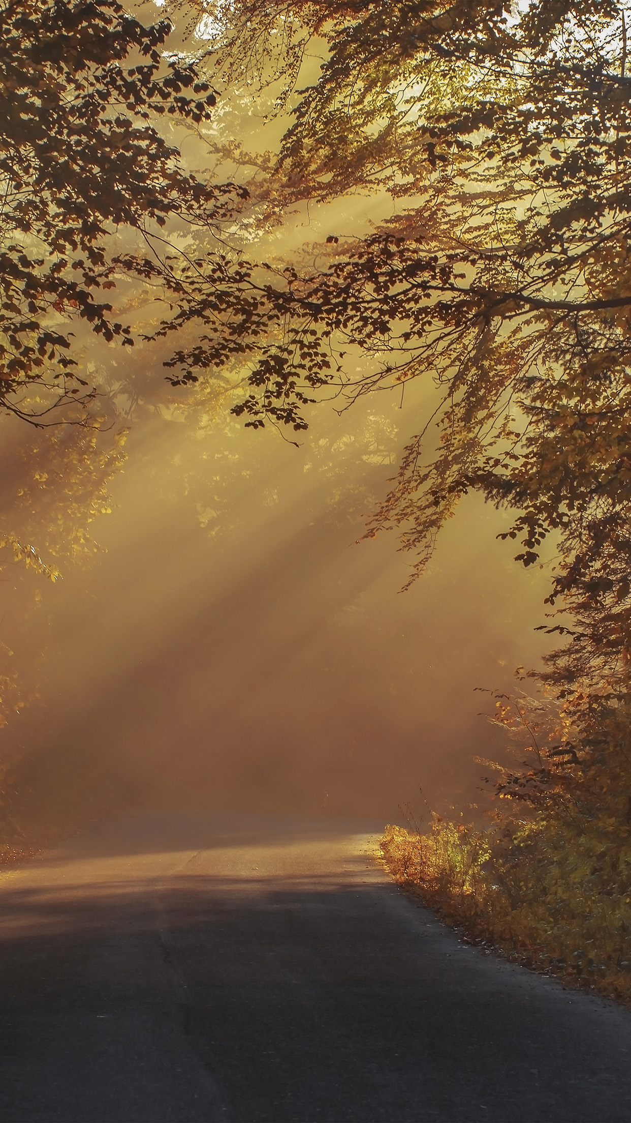 Good Morning Messages Photos Download - HD Wallpaper 